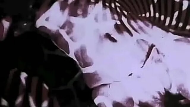 Vintage Japanese Erotica - Classic Animated Art